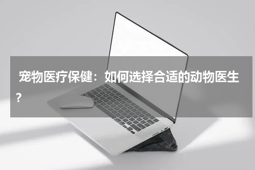 宠物医疗保健:如何选择合适的动物医生?