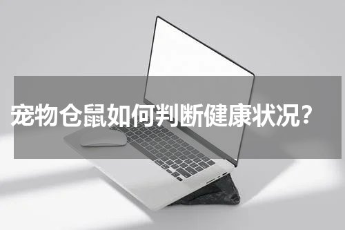 宠物仓鼠如何判断健康状况?