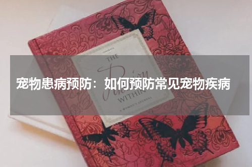 宠物患病预防:如何预防常见宠物疾病