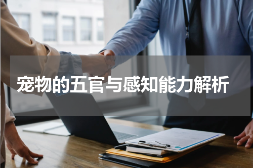 宠物的五官与感知能力解析