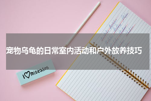 宠物乌龟的日常室内活动和户外放养技巧