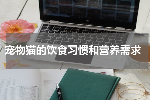 宠物猫的饮食习惯和营养需求