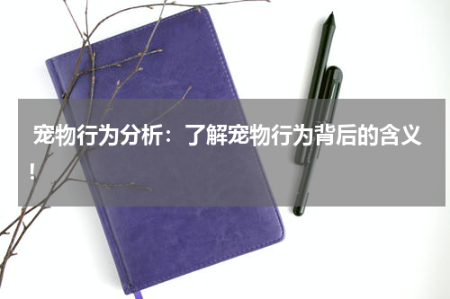  宠物行为分析：了解宠物行为背后的含义！ 