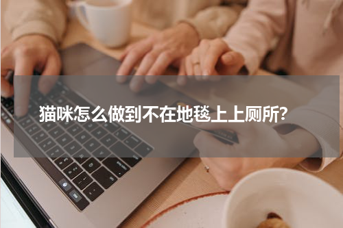猫咪怎么做到不在地毯上上厕所?