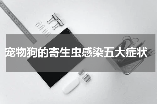 宠物狗的寄生虫感染五大症状