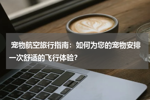 宠物航空旅行指南:如何为您的宠物安排一次舒适的飞行体验?