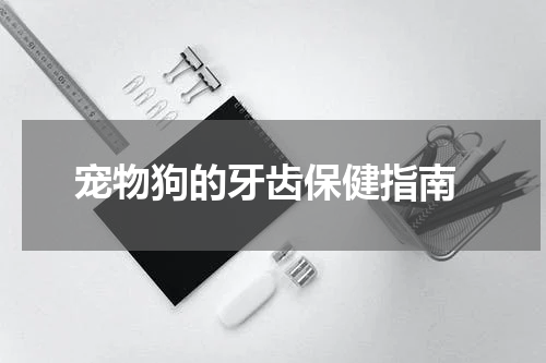 宠物狗的牙齿保健指南