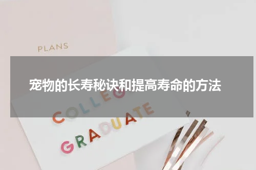 宠物的长寿秘诀和提高寿命的方法