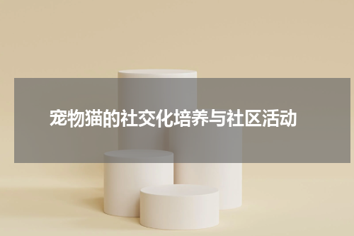 宠物猫的社交化培养与社区活动