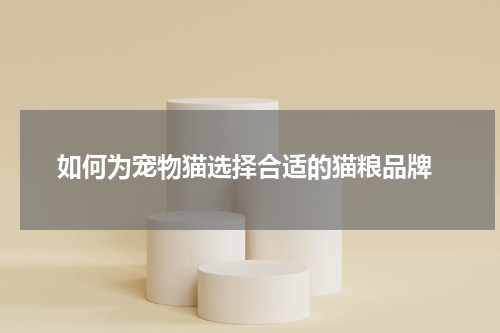 如何为宠物猫选择合适的猫粮品牌