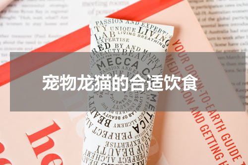宠物龙猫的合适饮食