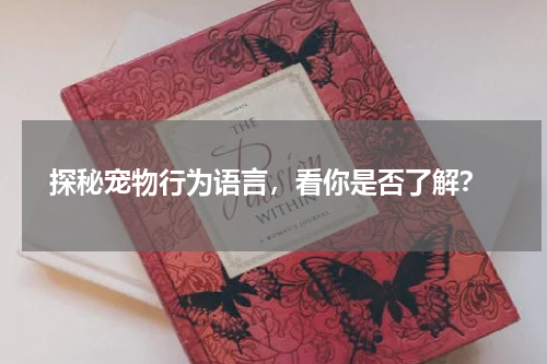 探秘宠物行为语言,看你是否了解?