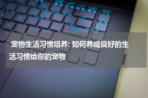 宠物生活习惯培养: 如何养成良好的生活习惯给你的宠物