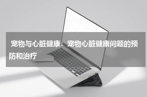 宠物与心脏健康:宠物心脏健康问题的预防和治疗