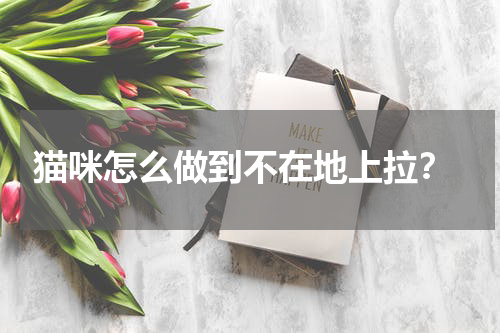 猫咪怎么做到不在地上拉?