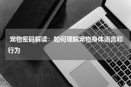 宠物密码解读:如何理解宠物身体语言和行为