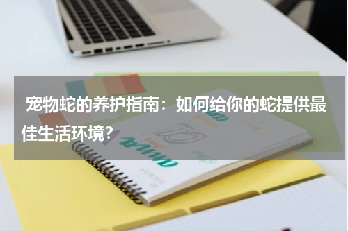 宠物蛇的养护指南:如何给你的蛇提供最佳生活环境?
