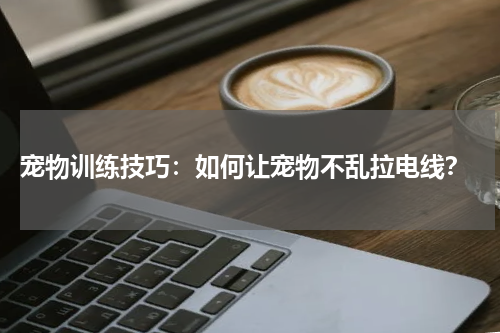 宠物训练技巧:如何让宠物不乱拉电线?