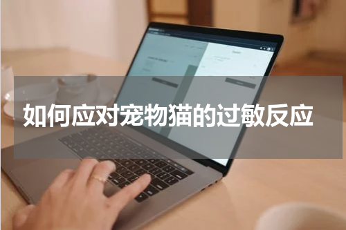 如何应对宠物猫的过敏反应