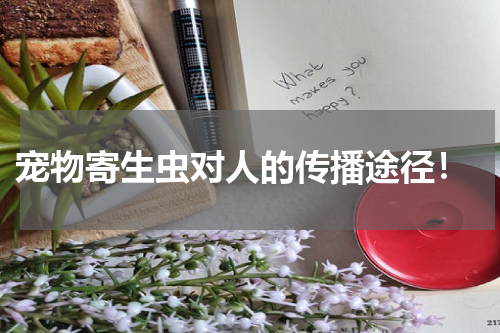 宠物寄生虫对人的传播途径!
