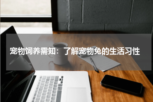  宠物饲养需知：了解宠物兔的生活习性