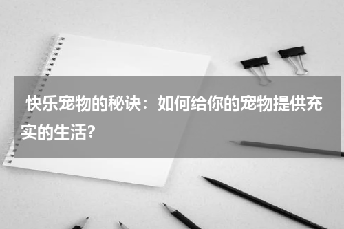 快乐宠物的秘诀:如何给你的宠物提供充实的生活?