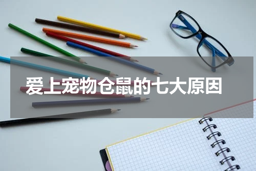爱上宠物仓鼠的七大原因