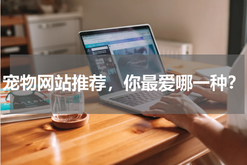 宠物网站推荐，你最爱哪一种？
