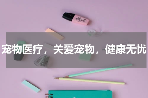 宠物医疗，关爱宠物，健康无忧