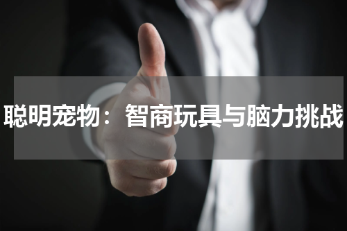 聪明宠物：智商玩具与脑力挑战