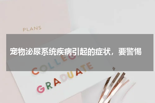 宠物泌尿系统疾病引起的症状,要警惕