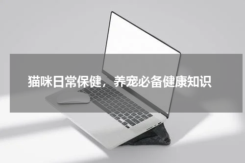 猫咪日常保健,养宠必备健康知识