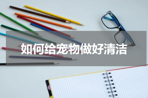 如何给宠物做好清洁