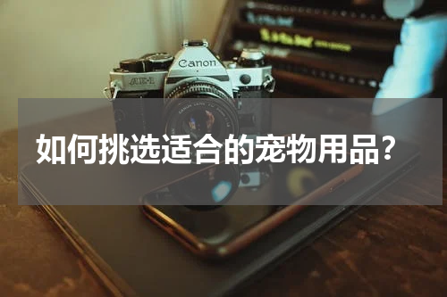 如何挑选适合的宠物用品？