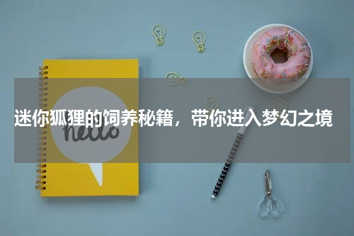 迷你狐狸的饲养秘籍,带你进入梦幻之境