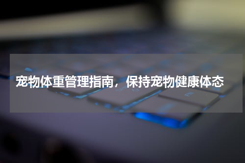  宠物体重管理指南，保持宠物健康体态