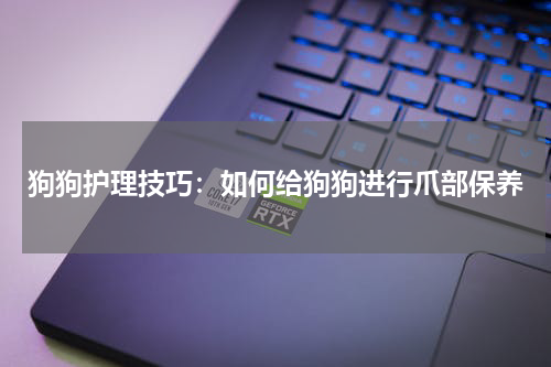 狗狗护理技巧:如何给狗狗进行爪部保养