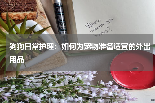 狗狗日常护理:如何为宠物准备适宜的外出用品