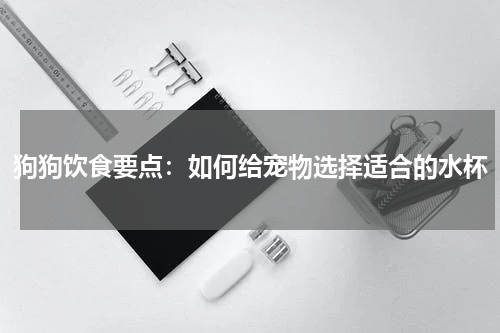 狗狗饮食要点:如何给宠物选择适合的水杯