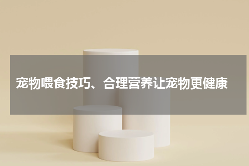  宠物喂食技巧、合理营养让宠物更健康