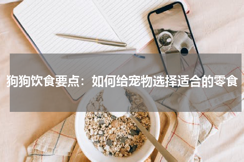 狗狗饮食要点:如何给宠物选择适合的零食