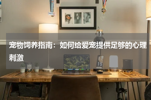 宠物饲养指南:如何给爱宠提供足够的心理刺激
