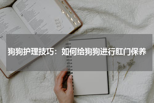 狗狗护理技巧:如何给狗狗进行肛门保养
