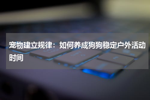宠物建立规律:如何养成狗狗稳定户外活动时间