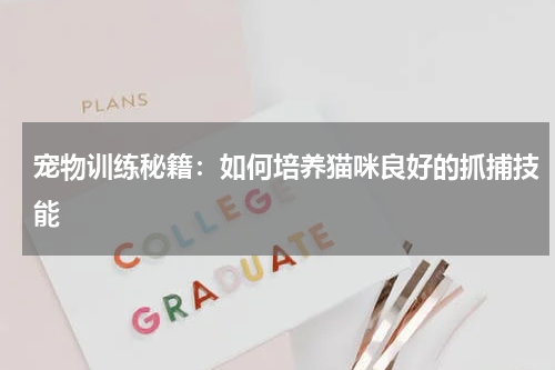 宠物训练秘籍:如何培养猫咪良好的抓捕技能