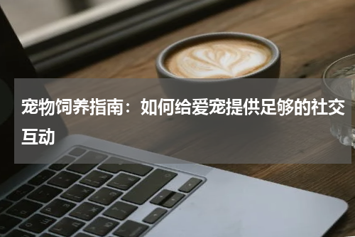 宠物饲养指南:如何给爱宠提供足够的社交互动