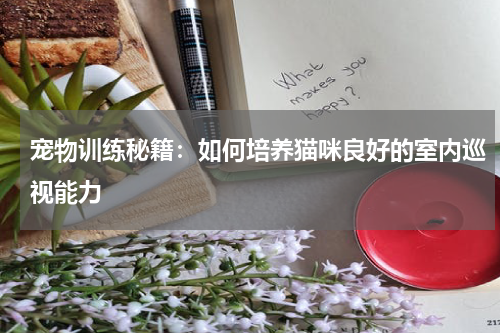 宠物训练秘籍:如何培养猫咪良好的室内巡视能力