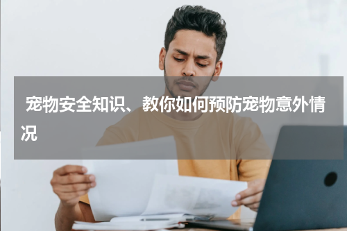  宠物安全知识、教你如何预防宠物意外情况