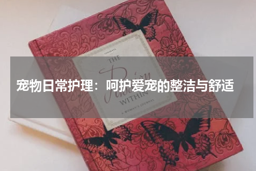  宠物日常护理：呵护爱宠的整洁与舒适