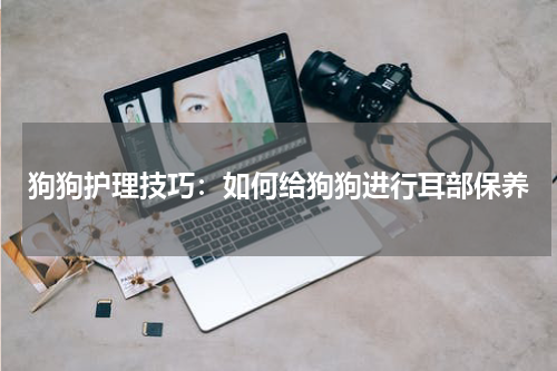 狗狗护理技巧:如何给狗狗进行耳部保养
